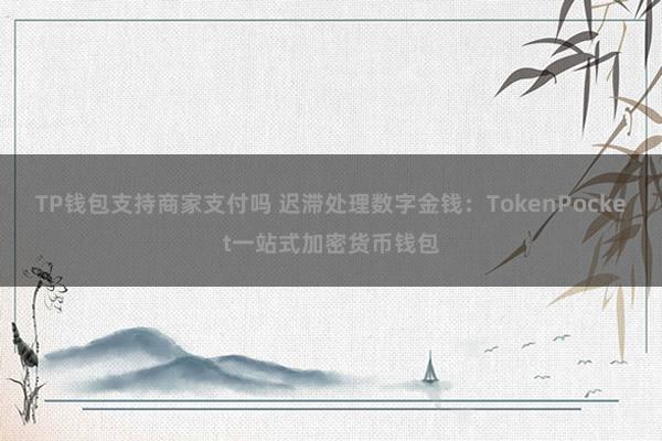 TP钱包支持商家支付吗 迟滞处理数字金钱：TokenPocket一站式加密货币钱包