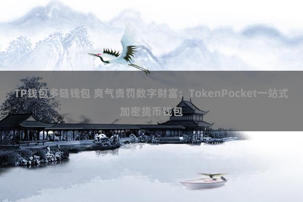 TP钱包多链钱包 爽气责罚数字财富：TokenPocket一站式加密货币钱包